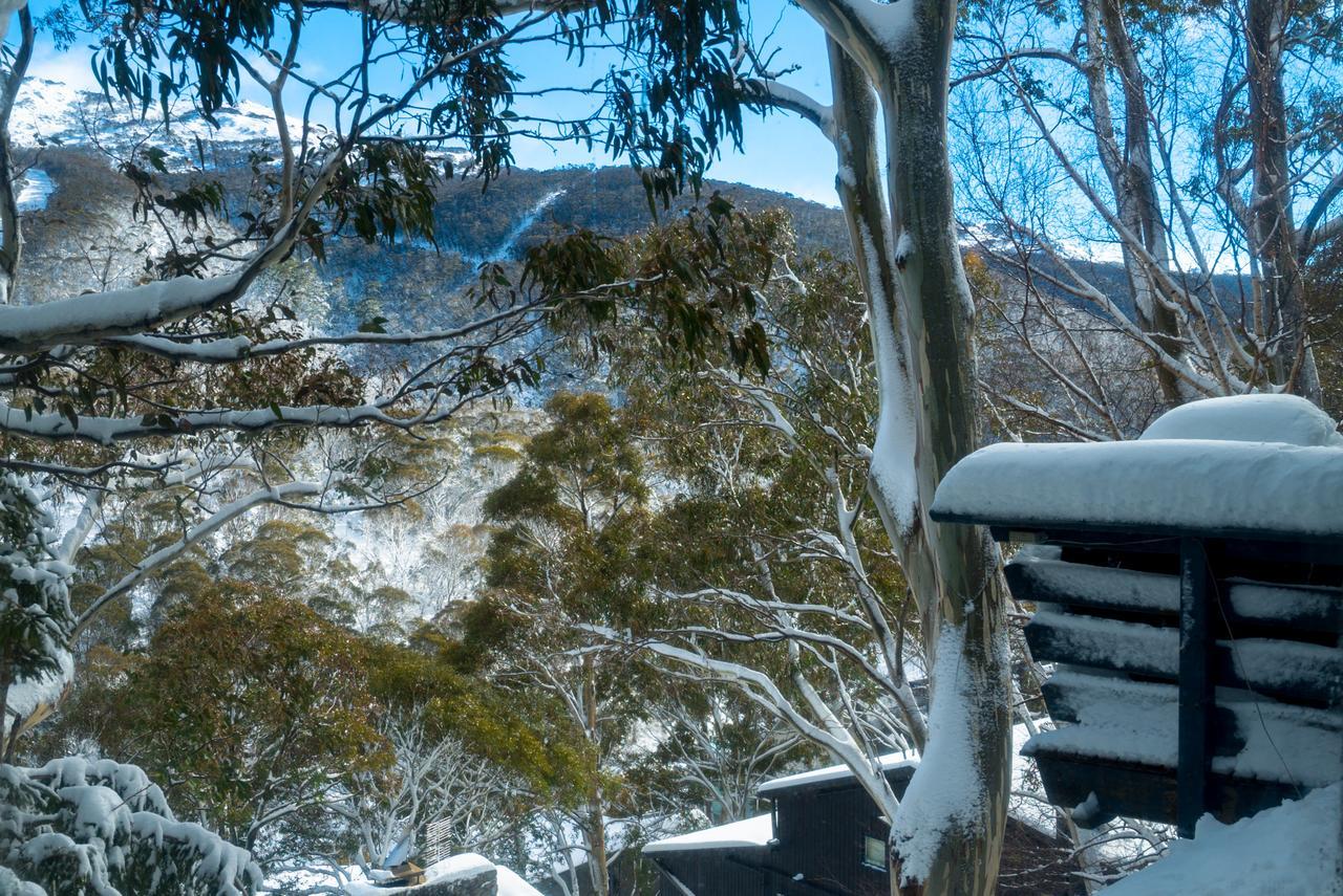 Pure Chalet Thredbo Hotel Exterior foto