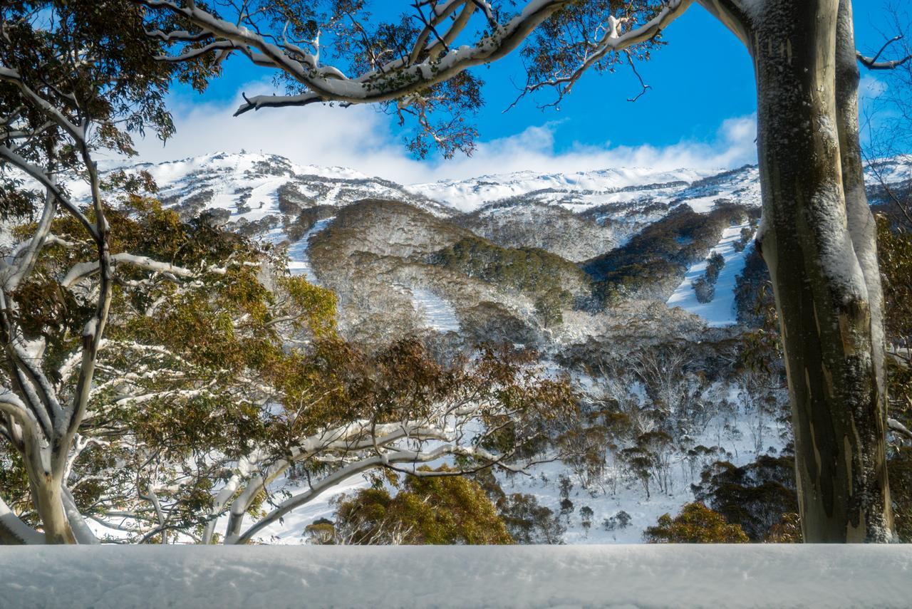 Pure Chalet Thredbo Hotel Exterior foto