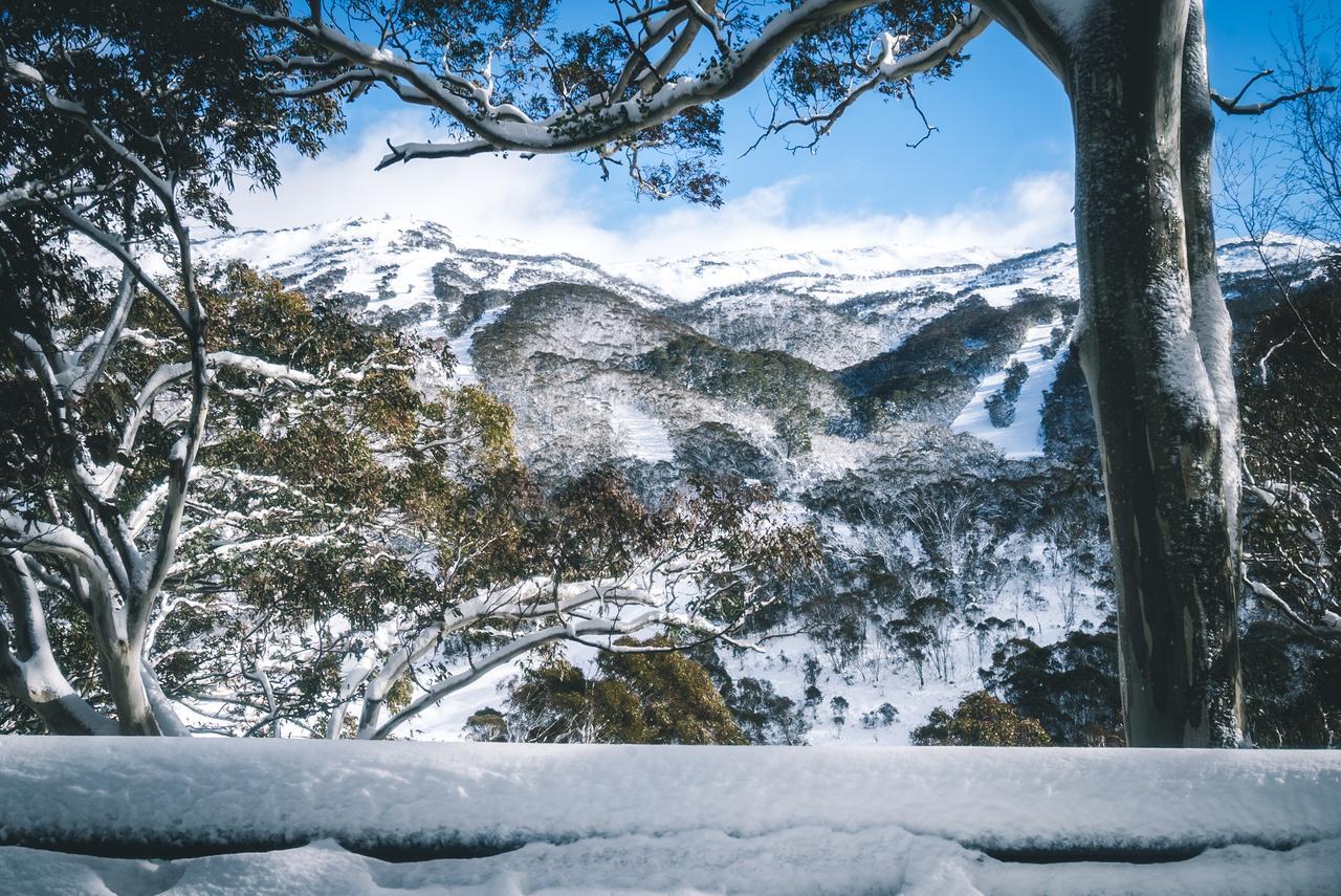 Pure Chalet Thredbo Hotel Exterior foto