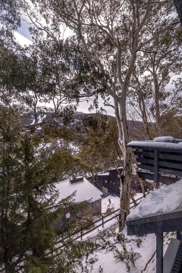 Pure Chalet Thredbo Hotel Exterior foto